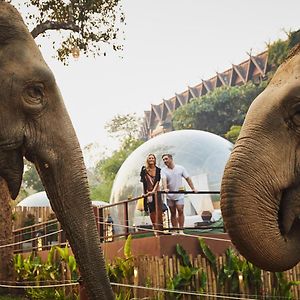 Anantara Golden Triangle Elephant Camp & Resort